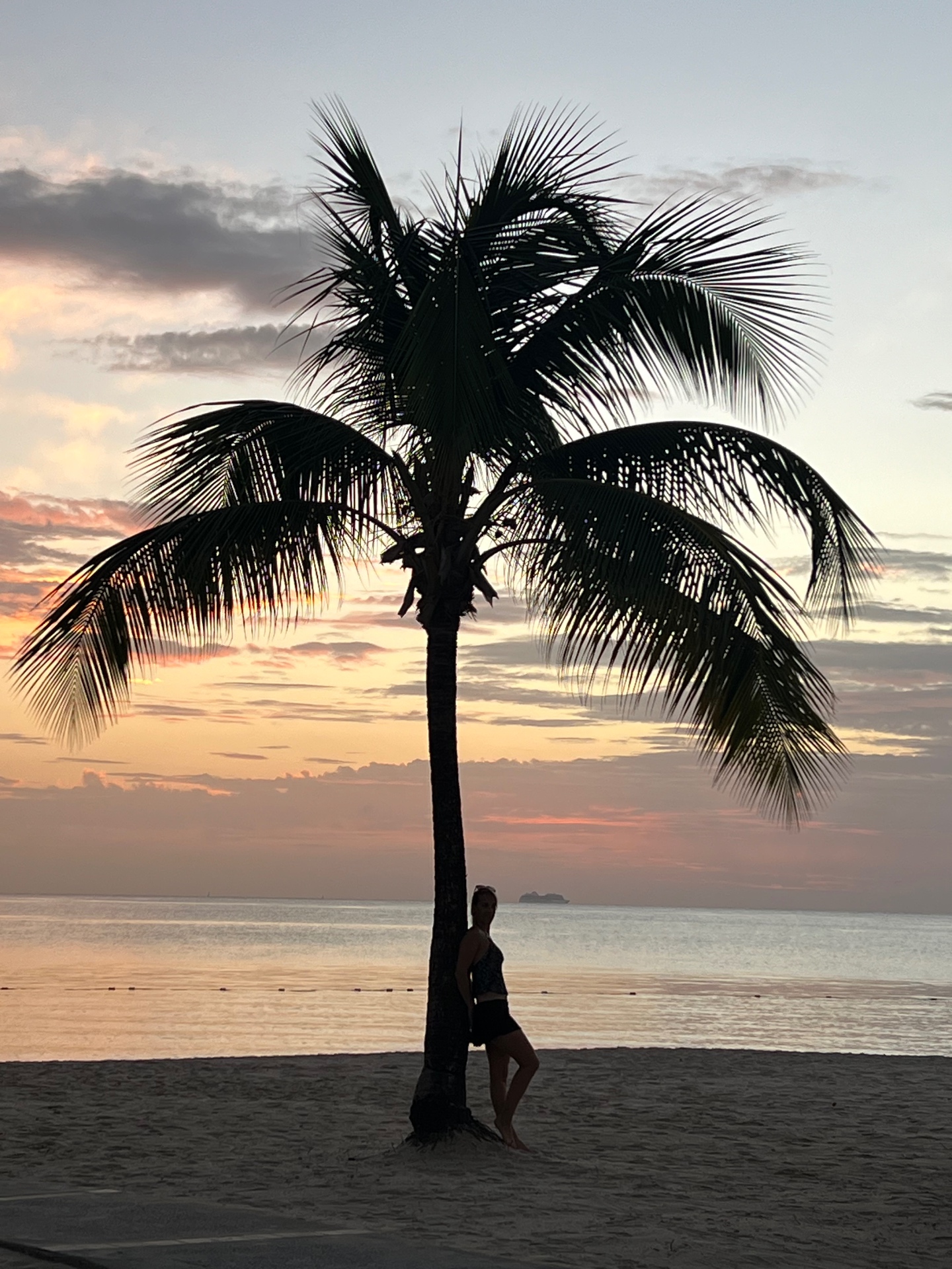 Jen silhouetted against a palm tree on the beach at sunset
